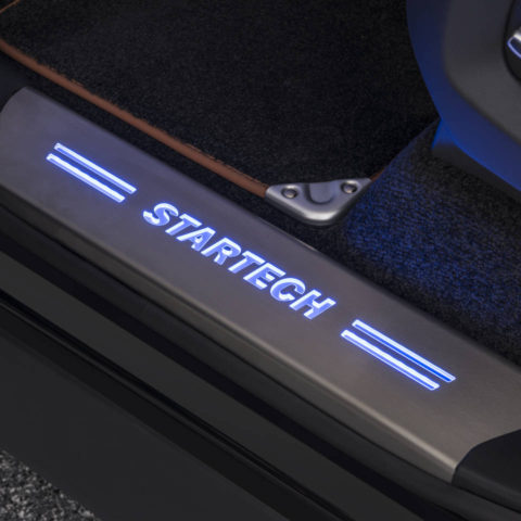 STARTECH Einstiegsleisten