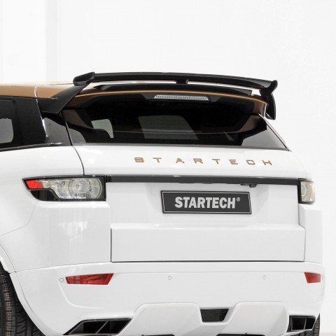 STARTECH Schriftzug