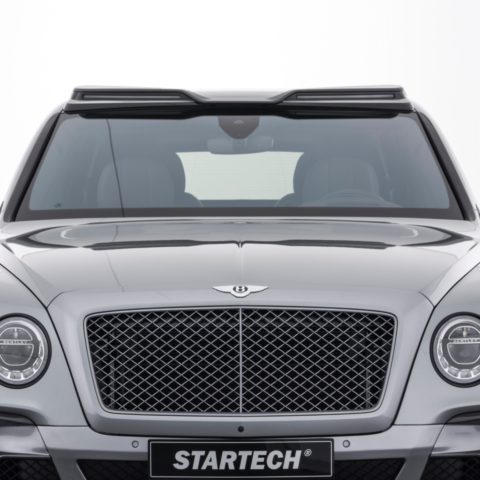 Carbon roof element